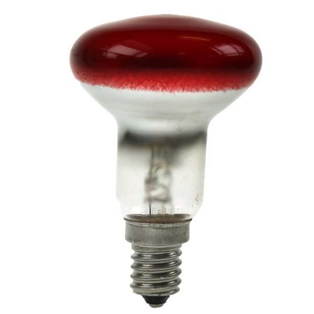 Image principale du produit Ampoule E14 R50 40W Rouge