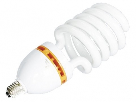 Image principale du produit Ampoule Eco E27 65W Blanc lumière du jour 5400K