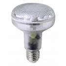 Image principale du produit Ampoule Eco E27 R80 15W blanc froid