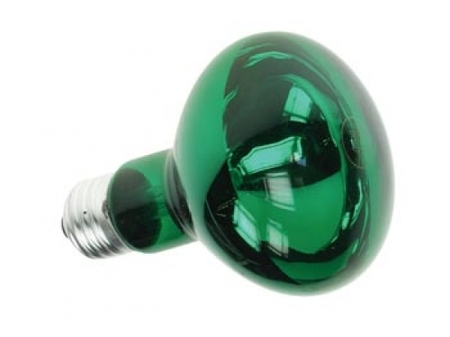 Image principale du produit Lampe spot reflecteur E27 R80 60W 230V Vert