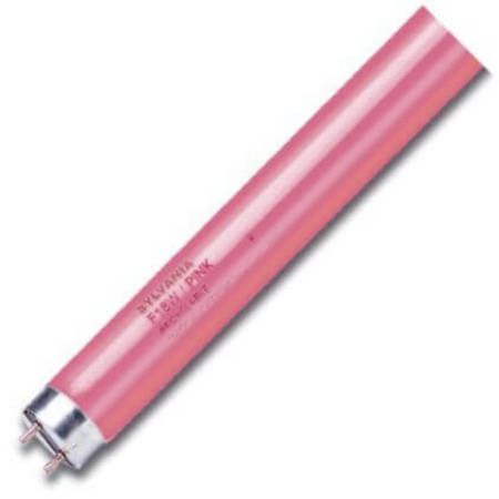 Image principale du produit Tube fluo Sylvania standard 18W 60cm Rose 0002560