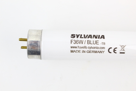 Image nº3 du produit Tube fluo Sylvania 36W 26X1200mm BLEU