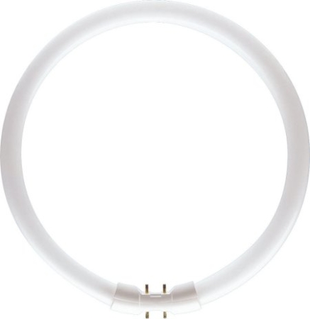 Image principale du produit Circline T5 OSRAM LUMILUX FC 22W 865 2Gx13 220mm