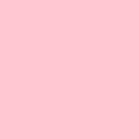 Image principale du produit LEE FILTERS 035 feuille Gélatine 122 X 53 cm Light pink