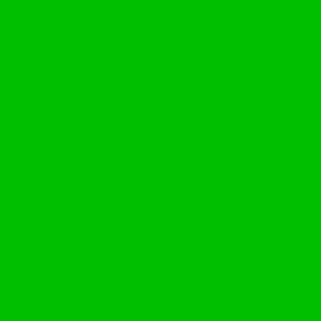 Image principale du produit feuille Gélatine 122 X 53 cm Dark yellow green  LEE FILTER