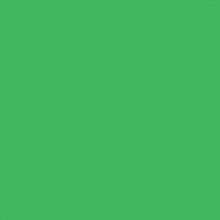 Image principale du produit feuille Gélatine 122 X 53 cm vert fougère 122 Lee Filters