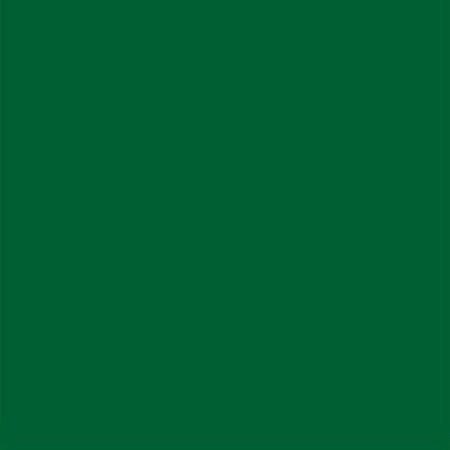 Image principale du produit Lee Filters 139 - feuille Gélatine 122 X 53 cm Vert primaire