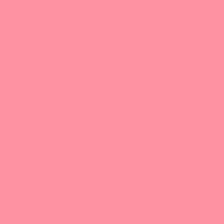 Image principale du produit LEE FILTERS 157 Feuille Gélatine 122x53 cm Pink