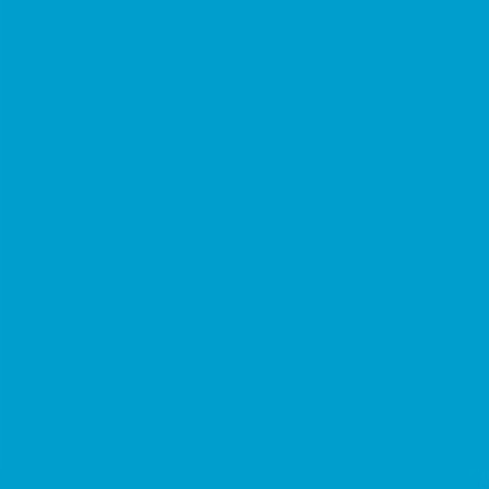Image principale du produit Feuille Lee Filters 183 Moonlight blue 0.53 x 1.22 m
