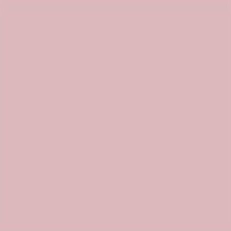 Image principale du produit Feuille gélatine 122 X 53 cm Cosmetic Silver Rose 186 LEE FILTERS.