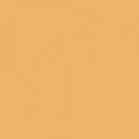 Image principale du produit feuille Gélatine 122 X 53 cm CT orange complet + 3ND CTO 207 LEE FILTERS