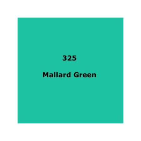 Image principale du produit feuille Gélatine 122 X 53 cm Mallard Green 325 LEE FILTERS