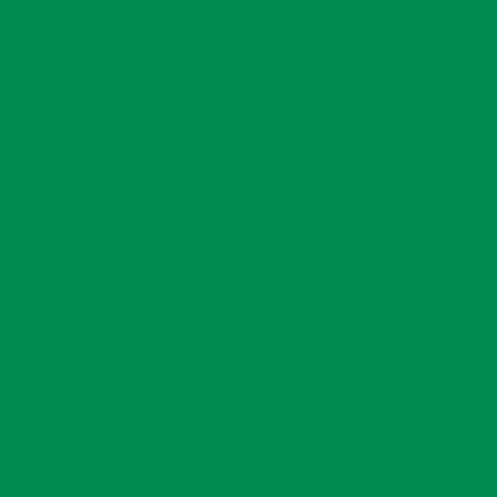 Image principale du produit Feuille Lee Filters 327 Forest green 0.53 x 1.22 m