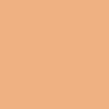 Image principale du produit feuille gélatine 122 x 53 cm nectarine 776 lee filters