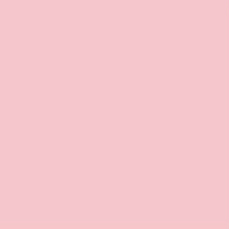 Image principale du produit LEE FILTERS 110 feuille Gélatine 122 X 53 cm effet Middle Rose