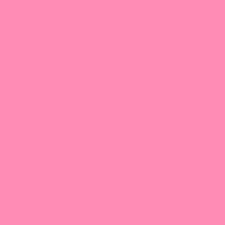 Image principale du produit Feuille Lee Filters 192 Flesh pink 0.53 x 1.22 m