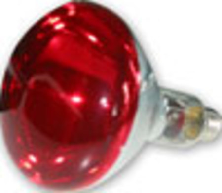 Image principale du produit LAMPE infrarouge Philips 125mm IR 230V 150W Filtre rouge