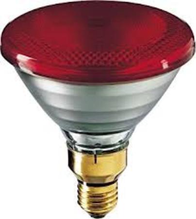 Image principale du produit Lampe infrarouge Philips IR175R 230W 175W