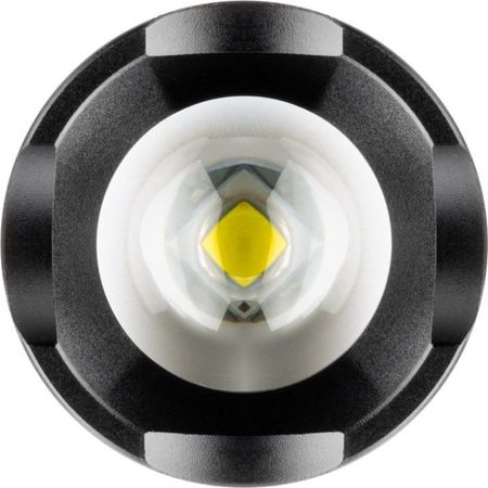 Image nº3 du produit Lampe Torche led 5W 300 lumens