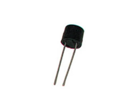 Image principale du produit Micro fusible 0,5A lent