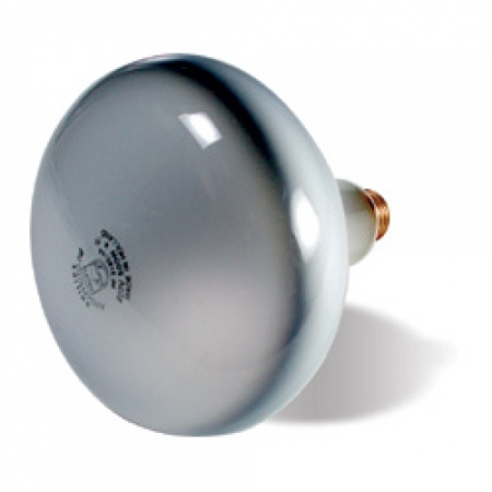 Image principale du produit Lampe type NITRAPHOT blanche 500W E27 230V 3200K 100H 60°