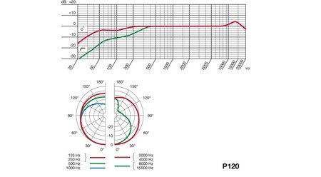 Image nº3 du produit P120 AKG - Microphone de studio statique cardioïde 150 dB SPL