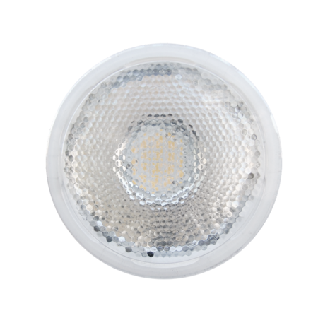 Image secondaire du produit Lampe LED PAR30 10W 3000K 660 lumens