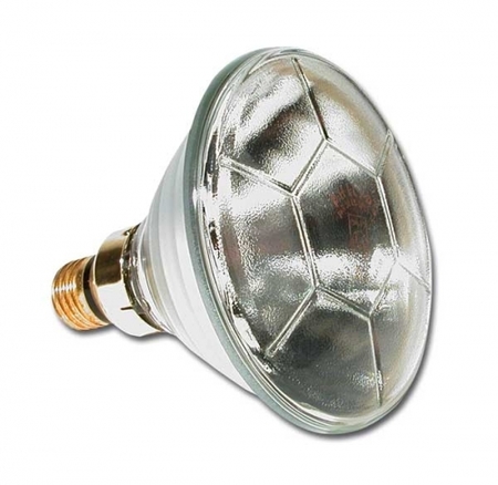 Image principale du produit Lampe PAR 38 24V 120W pour bassin E27