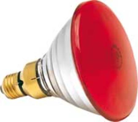 Image principale du produit SYLVANIA Lampe PAR 38 230V 80W Rouge code 0019652