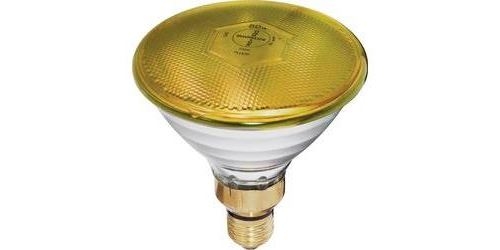 Ampoule DEL PAR38, jaune / d'extérieur