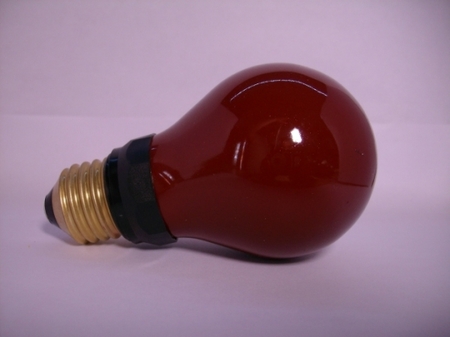 Image principale du produit Ampoule inactinique chambre noire  E27 PF712E 220V 15W rouge