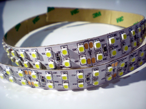 Image principale du produit Ruban LED double 24V Blanc jour6000K 1200 LEDs rouleau de 5 m 240leds/m 3528 sur fond blanc IP20