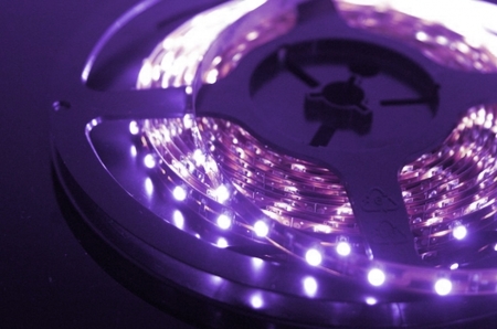 Image principale du produit Ruban LED 12V violet type UV 300 LEDs rouleau de 5 m IP65 PCB fond noir