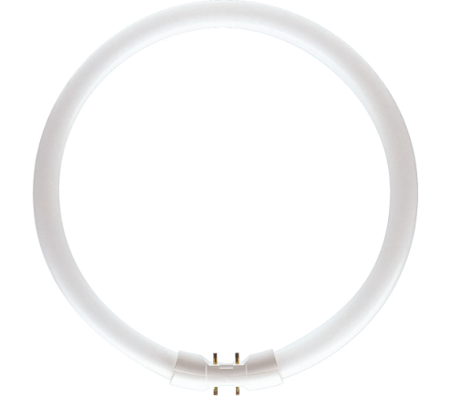 Image principale du produit Circline Philips TL5-C 55W 840 circular pro Diamètre extérieur 310mm